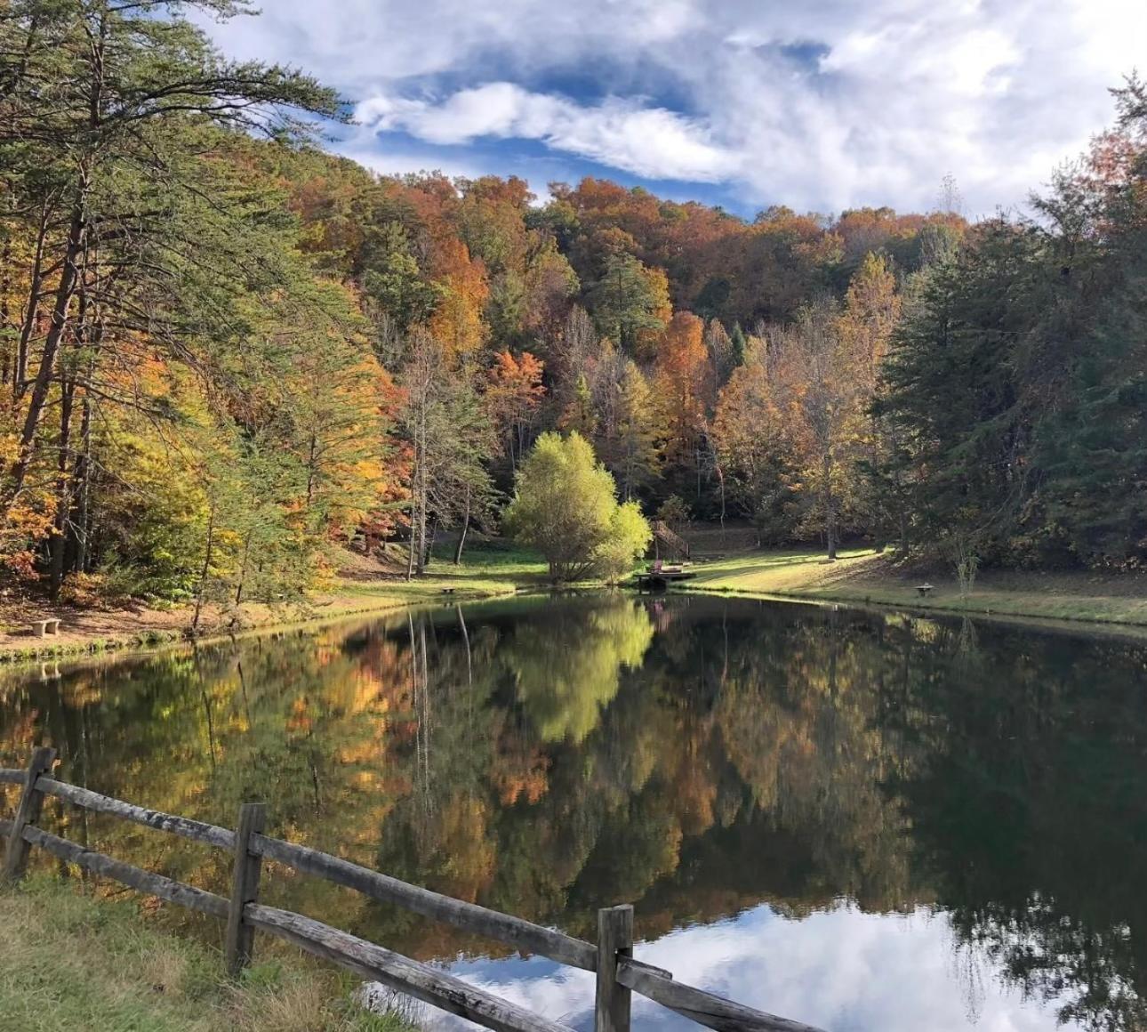 Villa Yoli Bear Hideaway Sevierville Esterno foto