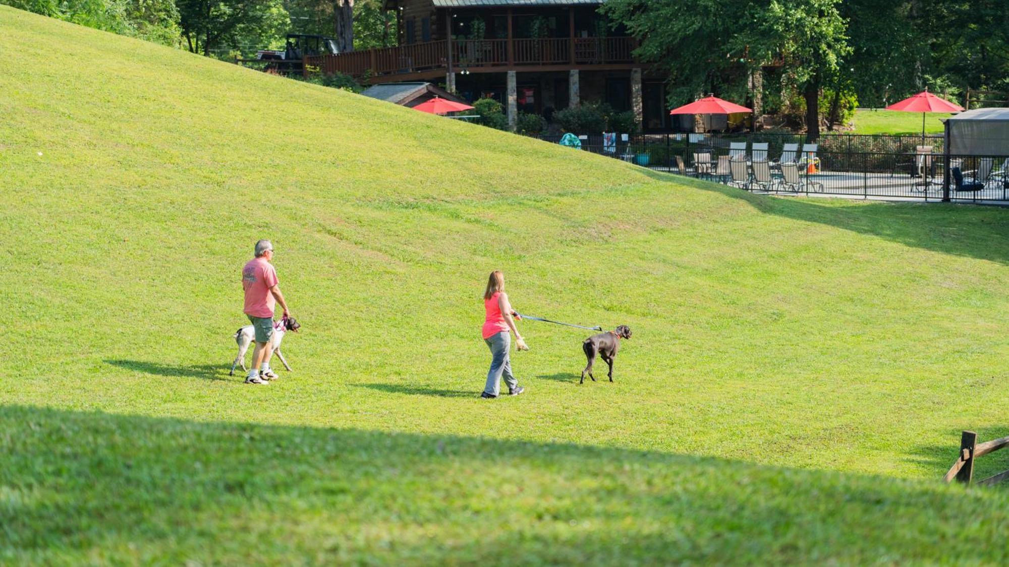 Villa Yoli Bear Hideaway Sevierville Esterno foto