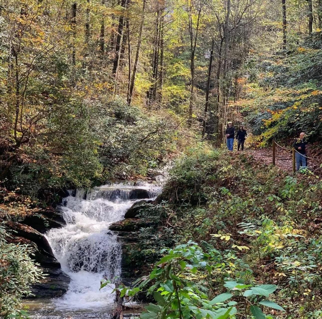 Villa Yoli Bear Hideaway Sevierville Esterno foto